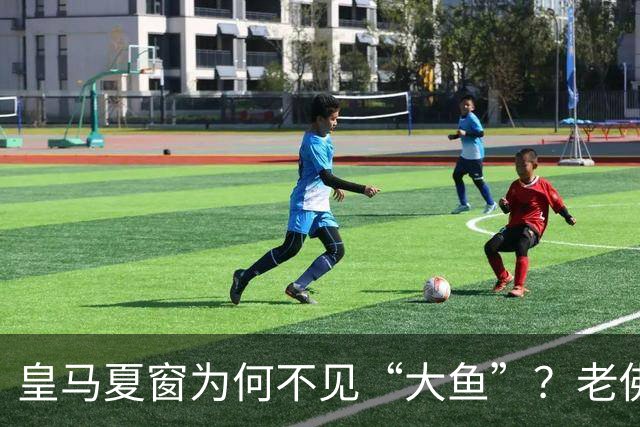 皇马夏窗为何不见“大鱼”？老佛爷按兵不动，罗德里或压轴加盟