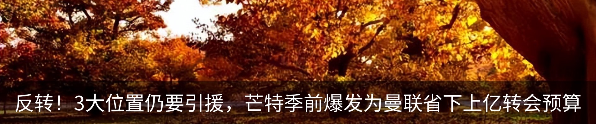 行业资讯