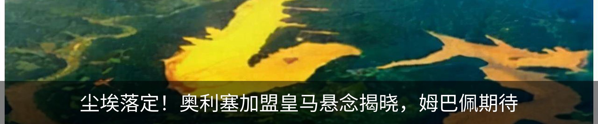 行业资讯