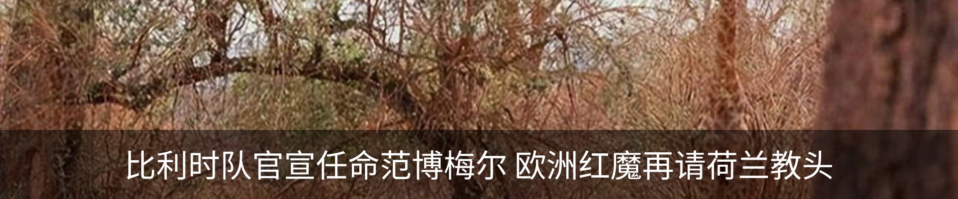行业资讯